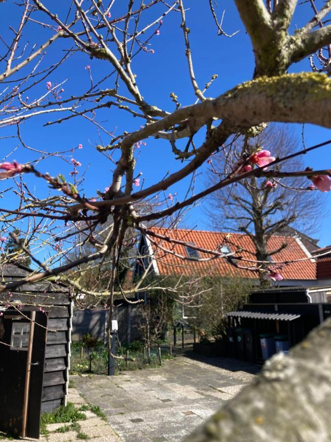 Ferienwohnung het zwaluwnest Koudekerke Exterior foto